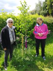 Jenny and Christine with our Platinum Jubilee Tree in June 2022